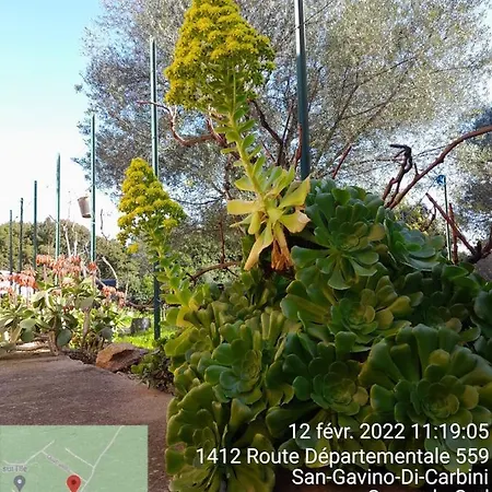 Casapiana * Porto-Vecchio (Corsica)